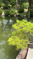 中津万象園前編