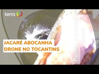 Jacaré 'pula' de rio e abocanha drone de R$ 7 mil