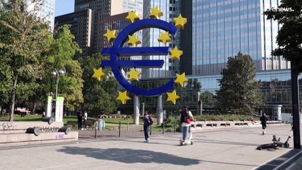 La Banque centrale européenne a relevé ses taux de 0,50 point, une première depuis 2011