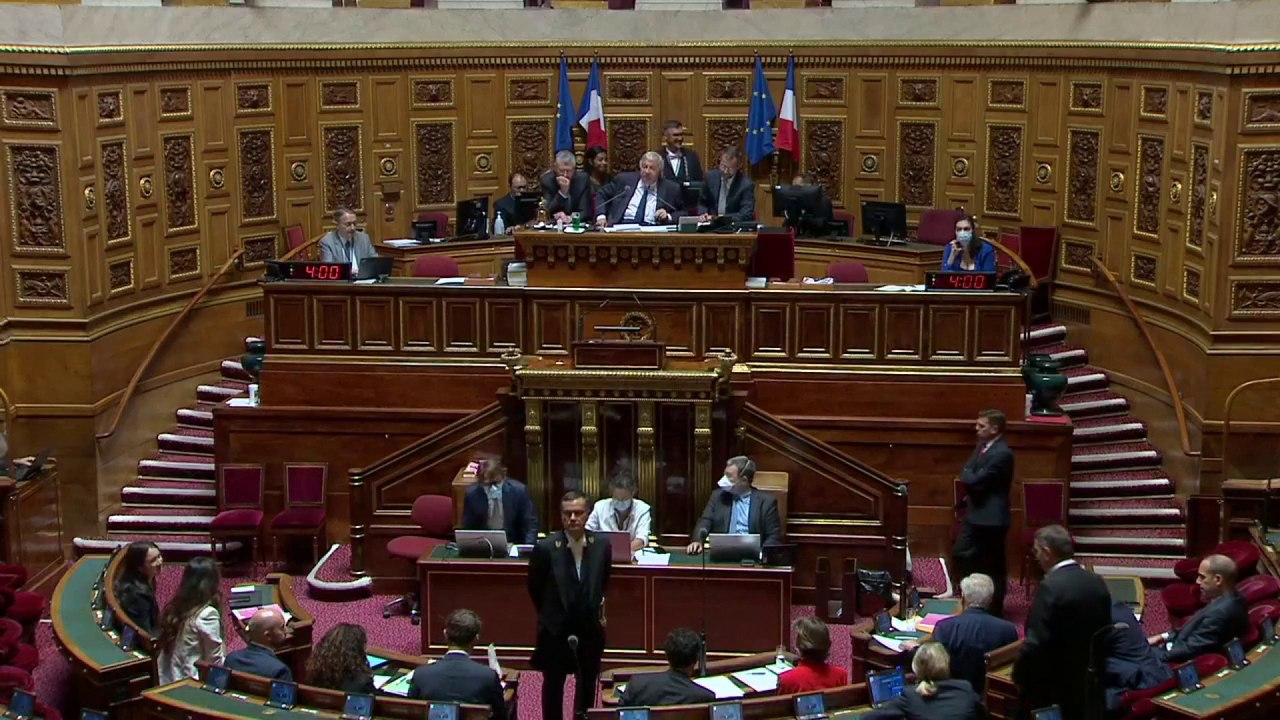 Adhésion de la Suède et de la Finlande à l’Otan : Le Sénat donne son feu vert