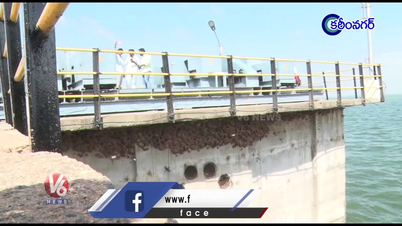 Birds Build Mud Nests Under Water Bridge _ Karimnagar _ V6 News video
