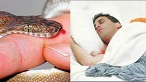 सपने मे सांप का डसना शुभ या अशुभ | Snake Bitting Dream Meaning | Boldsky *Religious