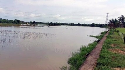 दौसा में छह इंच से अधिक बारिश, मोरेल व गेटोलाव में आया पानी