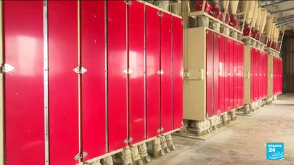 La Tunisie cherche l'autosuffisance en blé dur