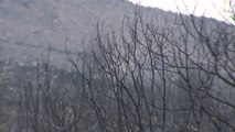 El incendio de Losacio en Zamora arrasa más de 35.000 hectáreas