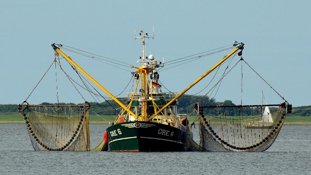 Estados Unidos lidera acciones contra la pesca ilegal