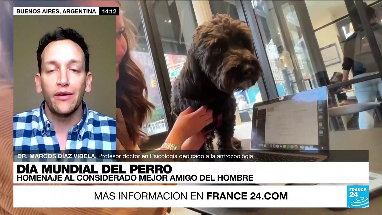 Marcos Díaz: "Existen evidencias de vínculos parentales con los perros desde la Prehistoria"