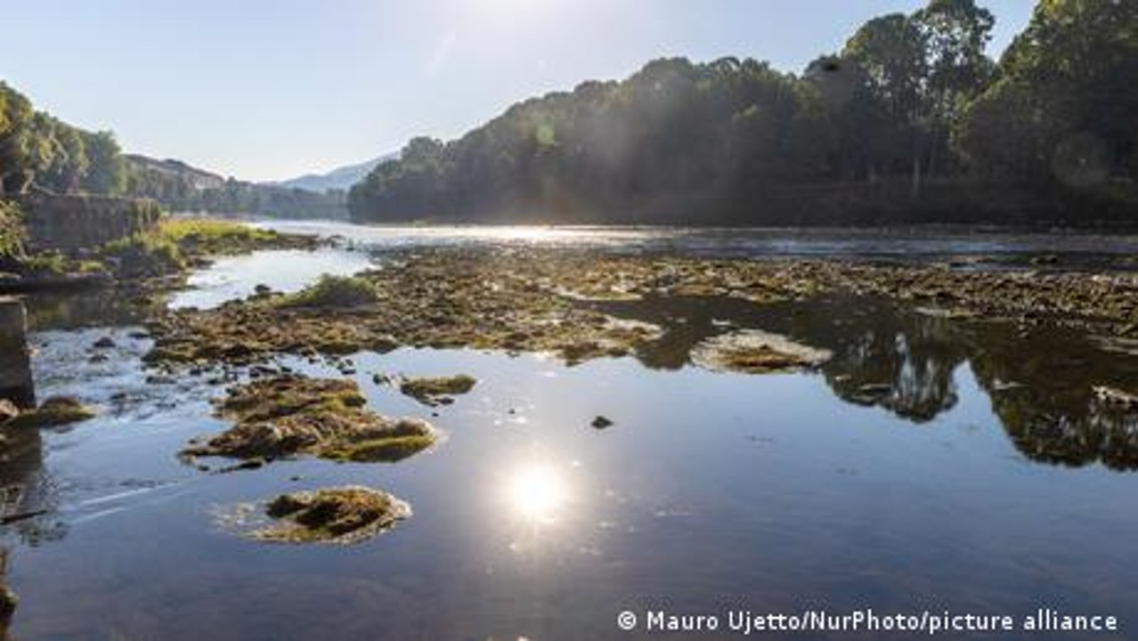 Italien: Historische Dürre bedroht Bauern