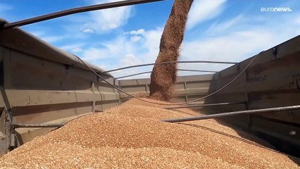 Download Video: Turquía anuncia que se firmará un acuerdo para desbloquear las exportaciones de grano ucraniano