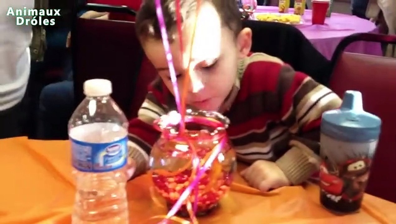 Les 10 meilleurs animaux de compagnie pour les familles avec bébés et tout-petits