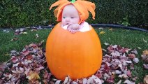 Je parie que vous ne pouvez pas arrêter de rire - Funny BABIES Halloween Costumes 2017