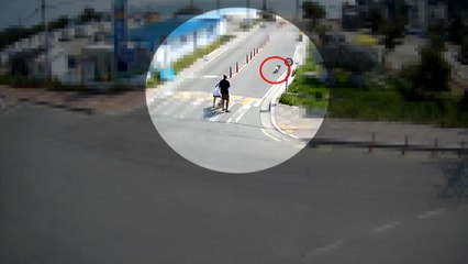 "우리 개는 안 물어요" 목줄 풀린 개가 달려들 때 대처 방법은? / YTN