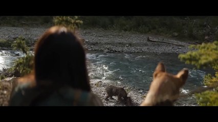 PREY -Predator Unmasked- Trailer (2022)