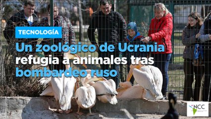 Un zoológico de Ucrania refugia a animales tras bombardeo ruso