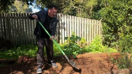 Hundreds of Yazidi families start new lives in Toowoomba