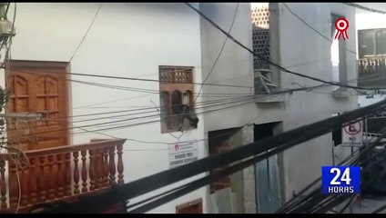 Amazonas: perro salva de caer de vivienda donde funciona la Procuraduría