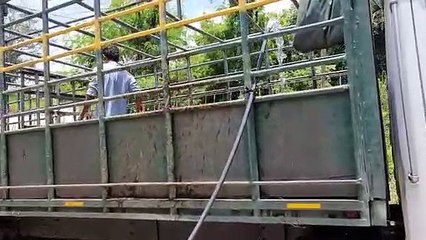 Alcalde de SPS graba a hombre que tira desechos al río