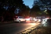 Jalan Macet Akibat Pohon Tumbang