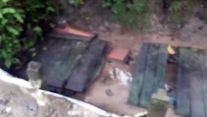 MULHER DE CAAPORÃ DIZ QUE VIVE IGUAL CARANGUEJO