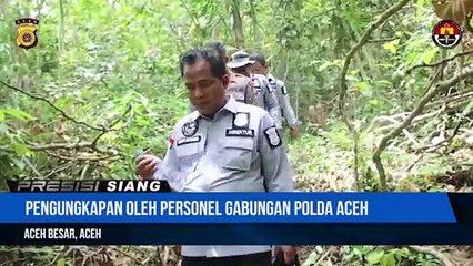 Ladang Ganja 5,3 Hektar Siap Panen Dimusnahkan Oleh Personel Gabungan Polda Aceh