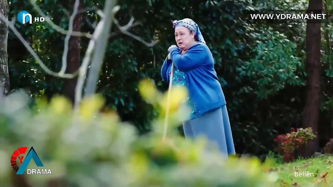درامای بەڵێن ئەڵقەی 336