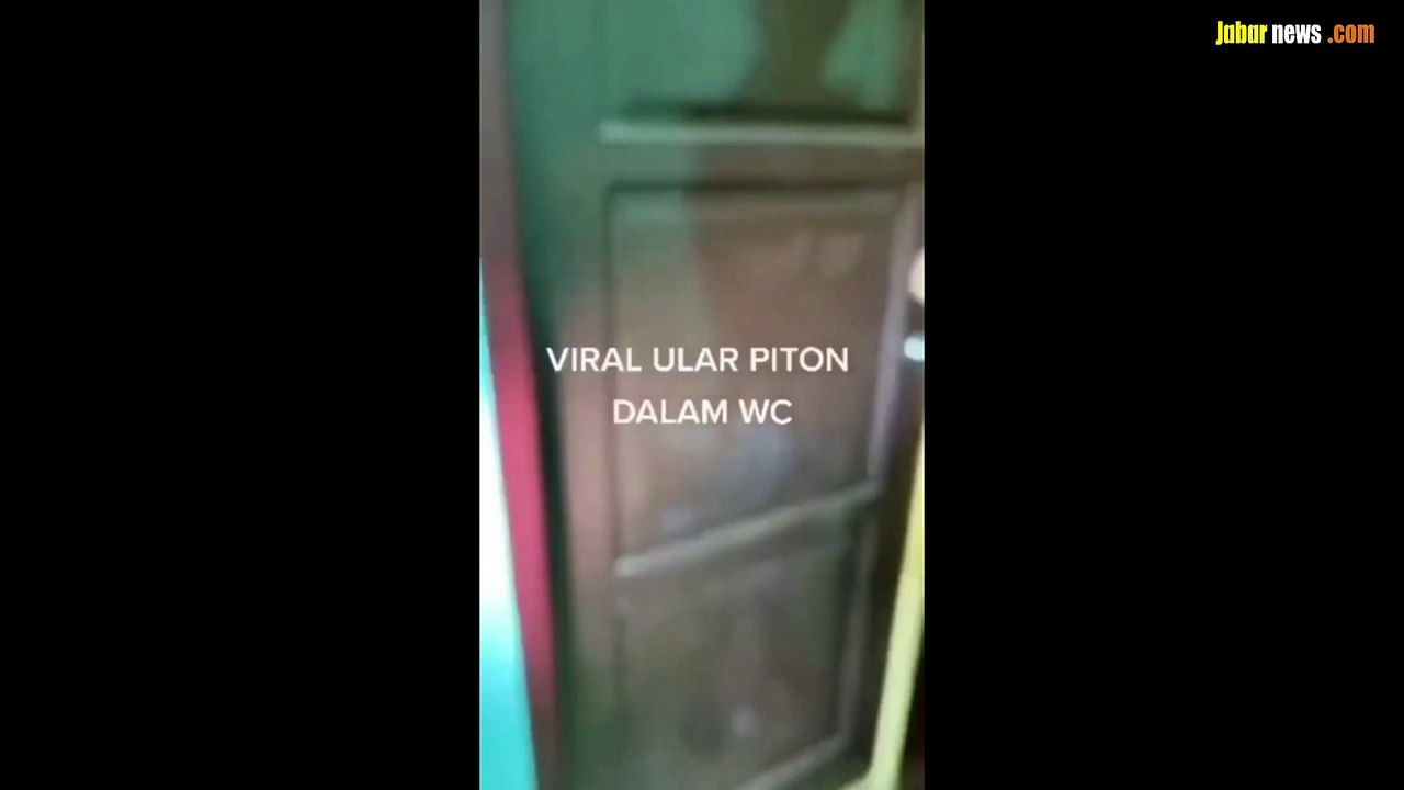 Waspada!!!!  Penampakan ular piton masuk ke dal...