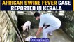 African Swine Fever case reported in Kerala, a week after Assam and UP reported cases| Oneindia News