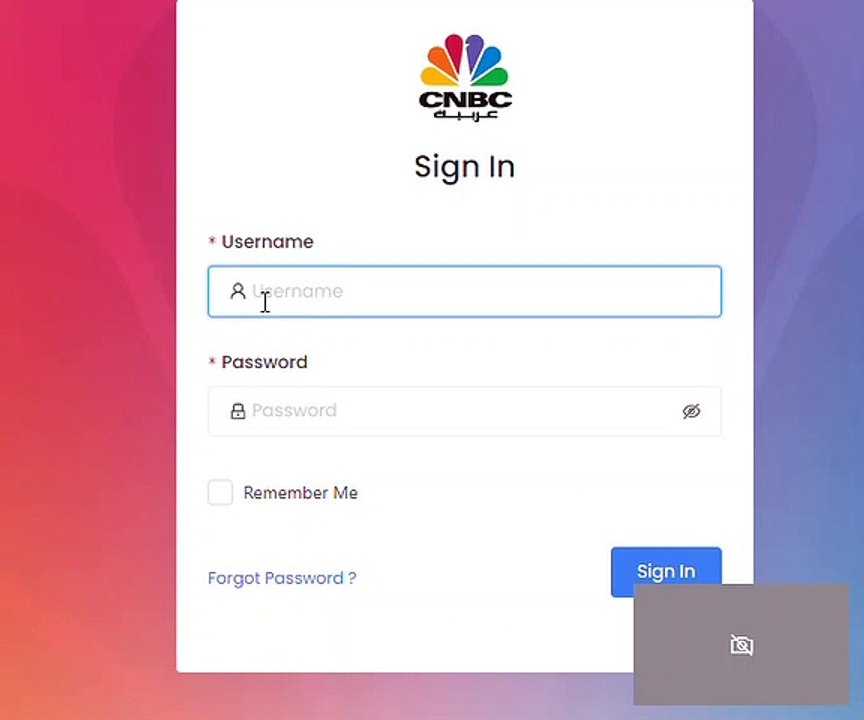 password_issue.mp4