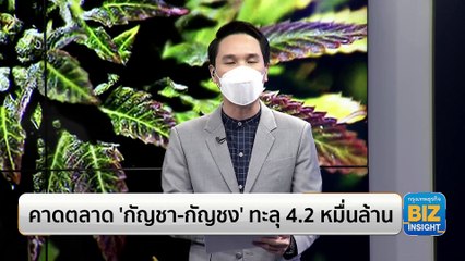 คาดตลาด ‘กัญชา-กัญชง’ ทะลุ 4.2 หมื่นล้าน