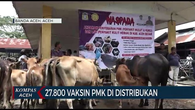 Dinas Peternakan Sudah Distribusi 27.800 Dosis Vaksin PMK