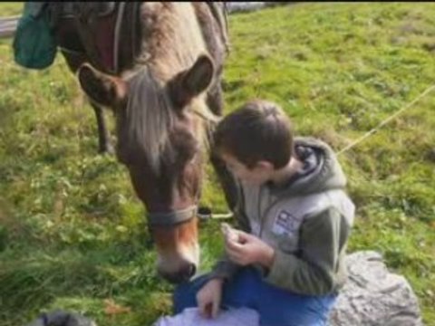 Cheval et cavalier horse and horseman serie 9