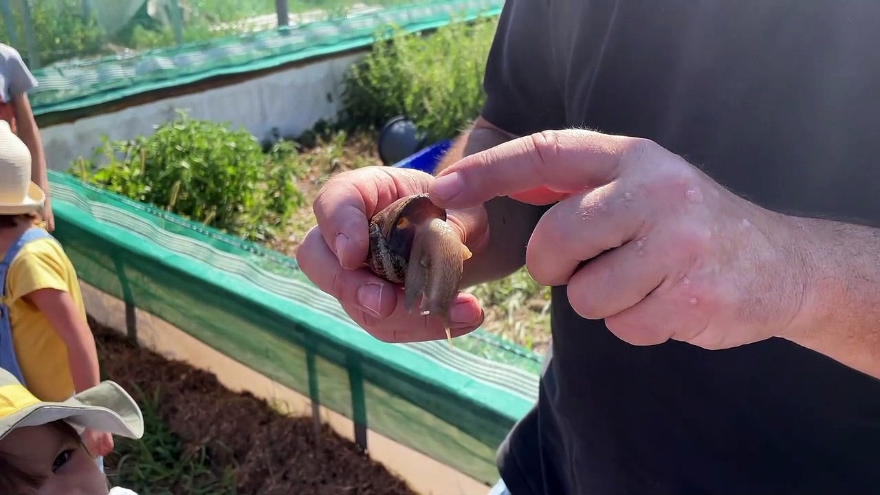 On vous emmène dans un élevage d'escargots