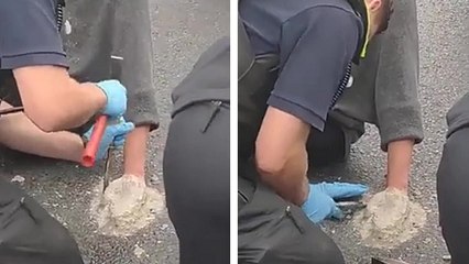 Après la glue, les activistes se cimentent les mains