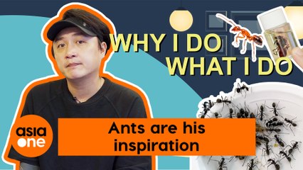 Why I Do What I Do: He sells ants for a living