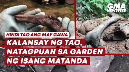 Download Video: Kalansay ng tao, natagpuan sa garden ng isang matanda! | GMA News Feed