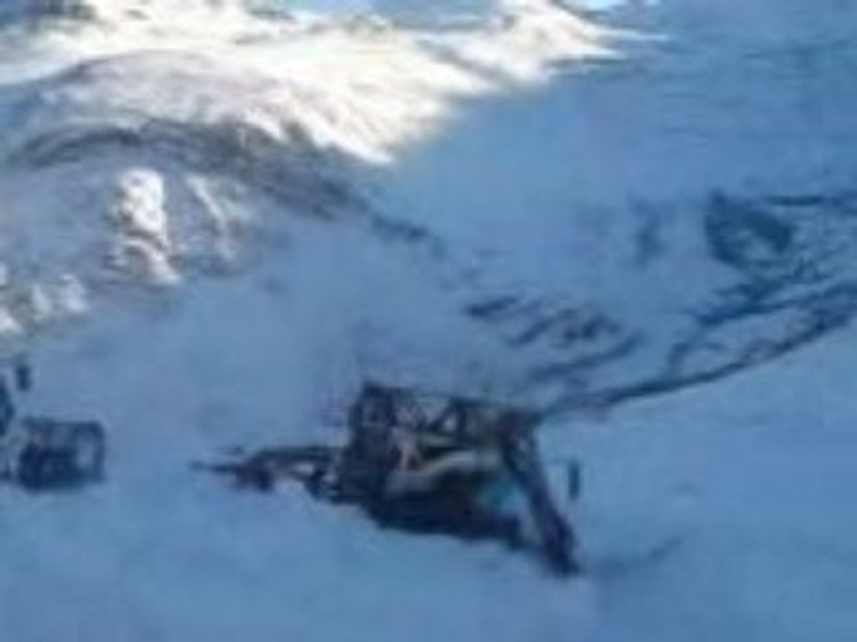 leitwolf sous une petite avalanche