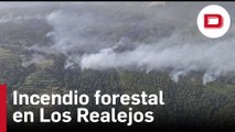 Incendio forestal en Los Realejos, Tenerife