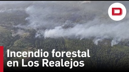 Incendio forestal en Los Realejos, Tenerife