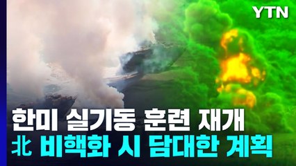 한미 연대급 연합훈련 부활..."담대한 계획, 안전보장안도 담을 것" / YTN