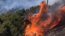 İzmir’de orman yangını: Ekipler havadan ve karadan müdahale ediyor