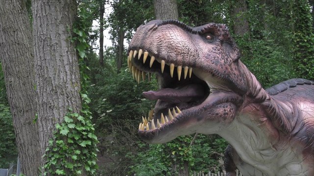 Sorties : Nouveau au Fort Louis, Le Dino Parc - 22 juillet 2022