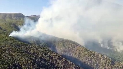 Incendio forestal en Tenerife