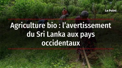 Agriculture bio : l’avertissement du Sri Lanka aux pays occidentaux