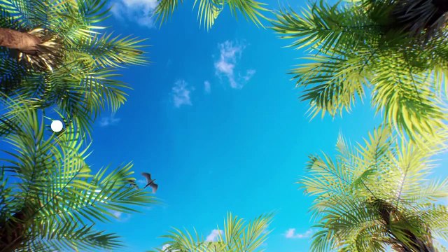 Motive : le mobile du crime - 25 juillet