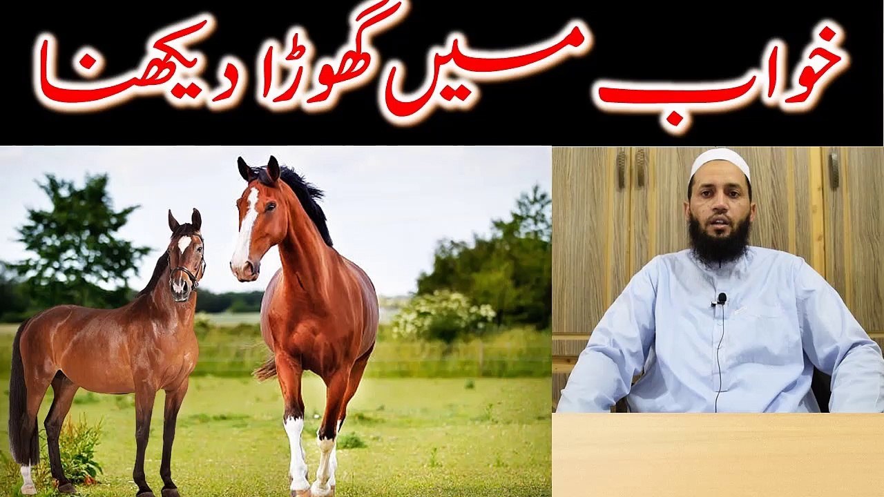 Khwab mein ghora dekhna | khwab mein ghoda dekhna kaisa | khwab mein ghora dekhnay ki tabeer
