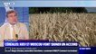 La Russie et l'Ukraine pourraient signer un accord sur les exportations de céréales