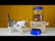 DIY Cat Food Dispenser