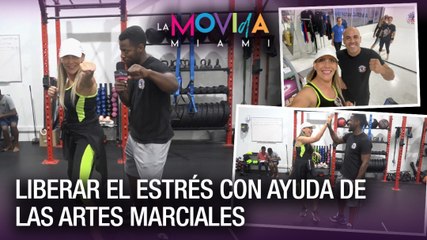 American Top Team gimnasio para grandes y chicos - La Movida Miami