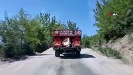 Adana'da orman yangını ile mücadele sürüyor!