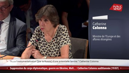 Suppression du corps diplomatique, guerre en Ukraine, Mali... : C. Colonna auditionnée (19/07))